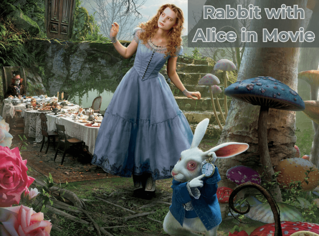 Rabbit with Alice in Movie