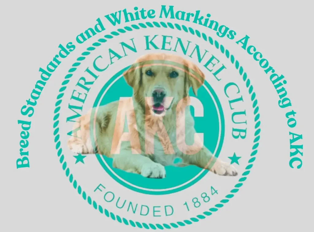 American Kennel Club (AKC) for Dog